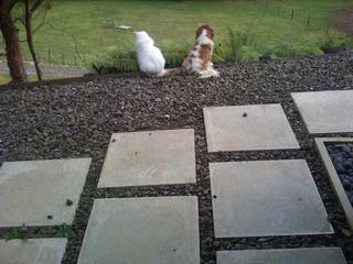 Me & Lucy looking for mice