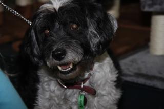 My friend Benson