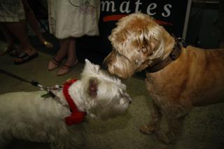 My friends Dougal and Paris