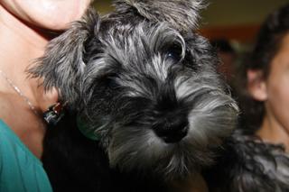 My little friend Tylie.  She's in book two you know!